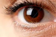 brown eyes