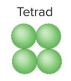 <p>tetrads</p>