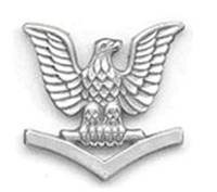 <p>Eagle perched atop 1 chevron</p>