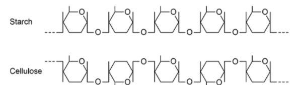 <p>Explain the difference in the structure of the starch molecule and the cellulose molecule shown in the diagram</p>