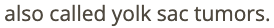 <p>b) endodermal sinus tumor </p>