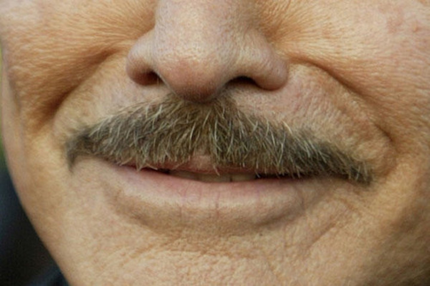 <p>mustache</p>