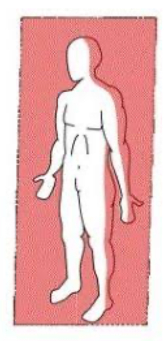 <p>coronal, center of the body and divides front and back</p>