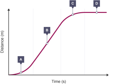 <p>What does each section of the graph tell you?</p>