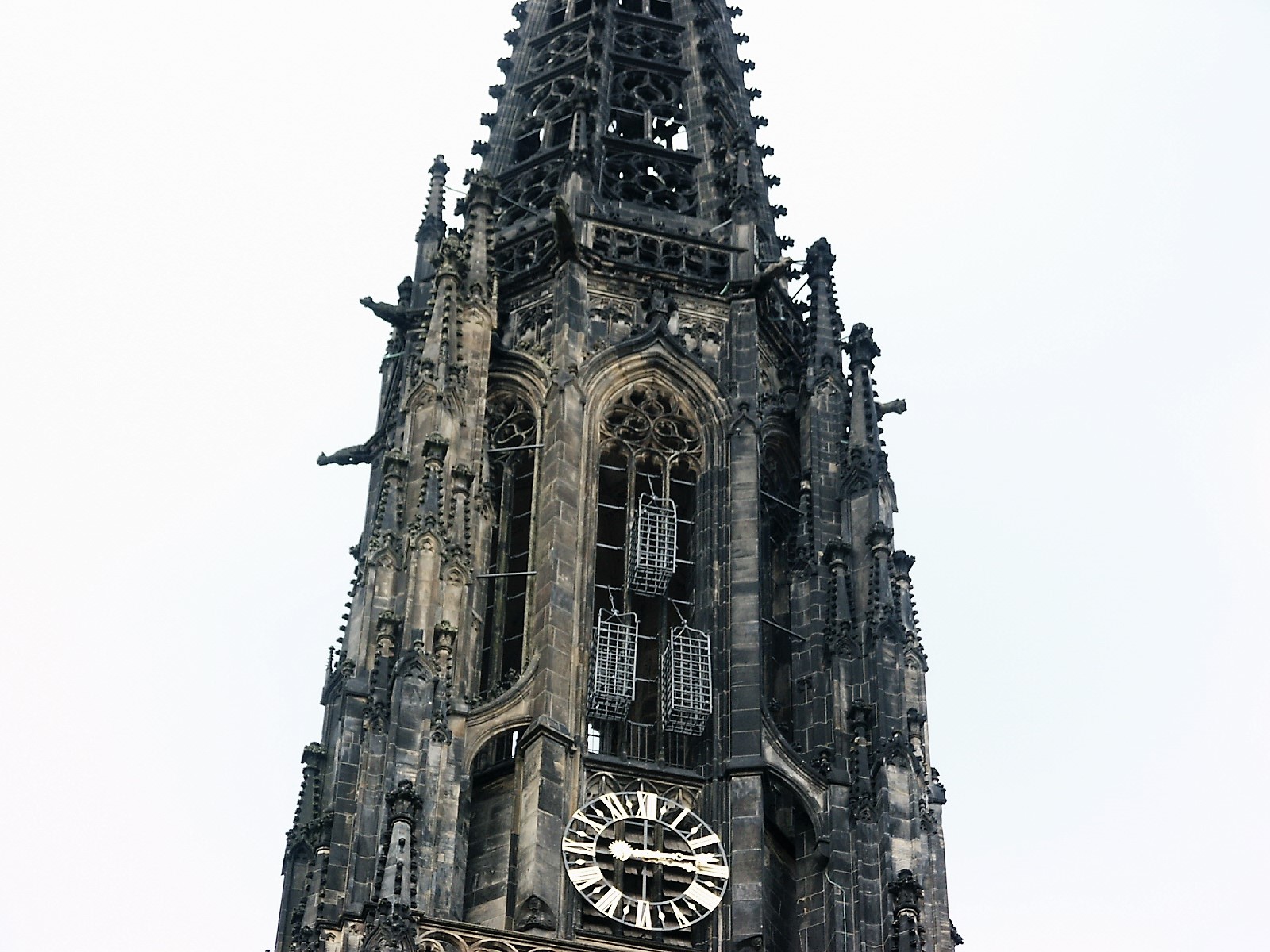 term image