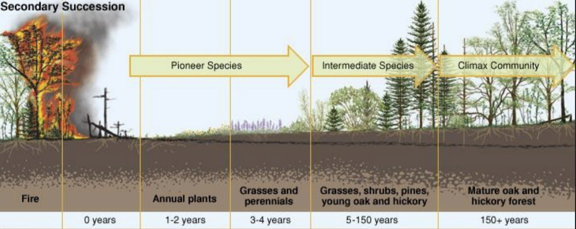 Life was already present in the disturbed environment.