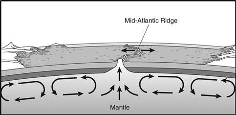 <p>The diagram below represents a process that occurs within Earth’s mantle. What process is represented by this diagram?</p>