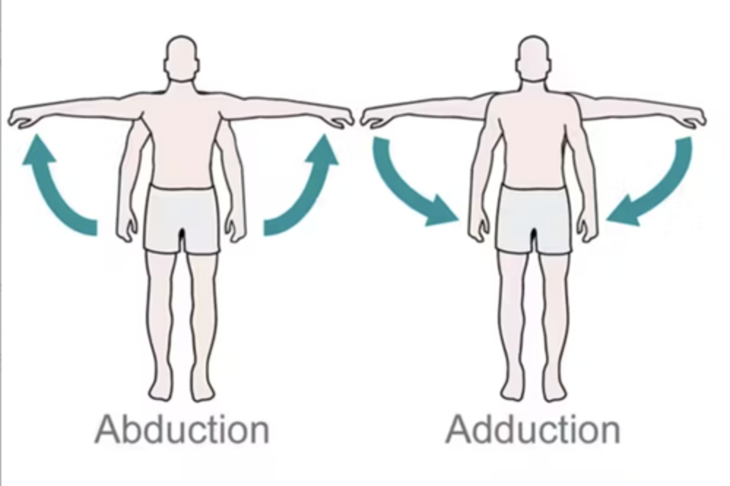 <p>Lateral movement away from the midline</p>