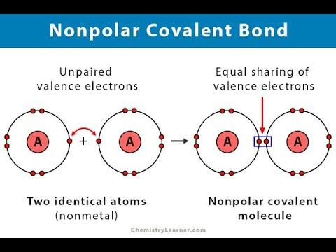 <p>A bond which there is equal staring of the pair or pairs of electrons.</p>