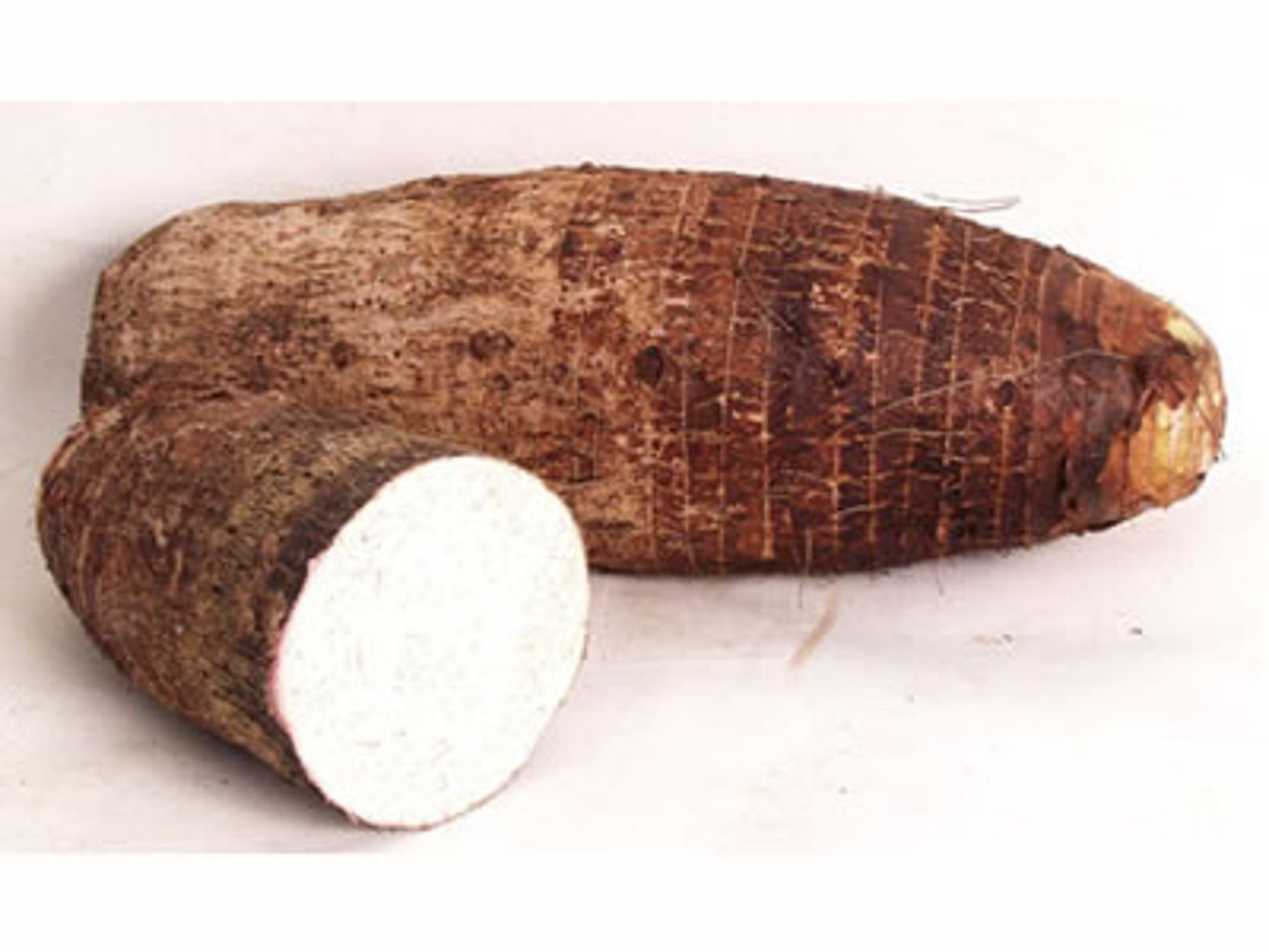 <p>[ˈter.oʊ] khoai môn</p>