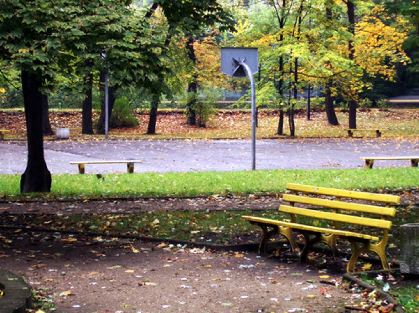 <p>the park</p>