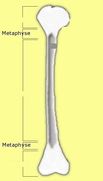 <p>benoemd de regios op de afbeelding&nbsp;</p>