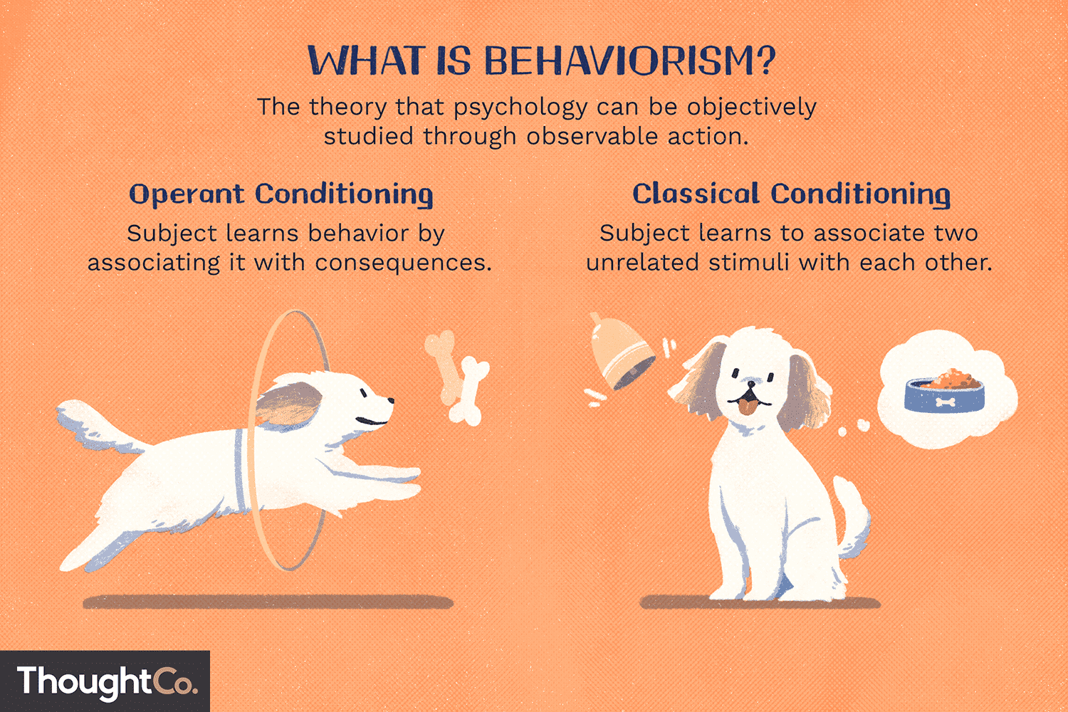 <p>a psychological theory stating that <strong>all behaviors are learned through interaction with the environment</strong>, focusing on observable actions rather than internal mental states, using conditioning (<strong>classical and operant</strong>) with stimuli, responses, rewards, and punishments to explain and modify behavior, famously championed by figures like B.F. Skinner and John B. Watson. </p>