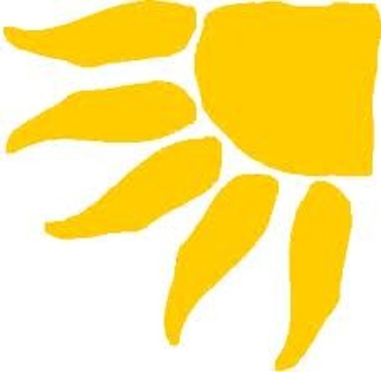 <p>it's sunny</p>