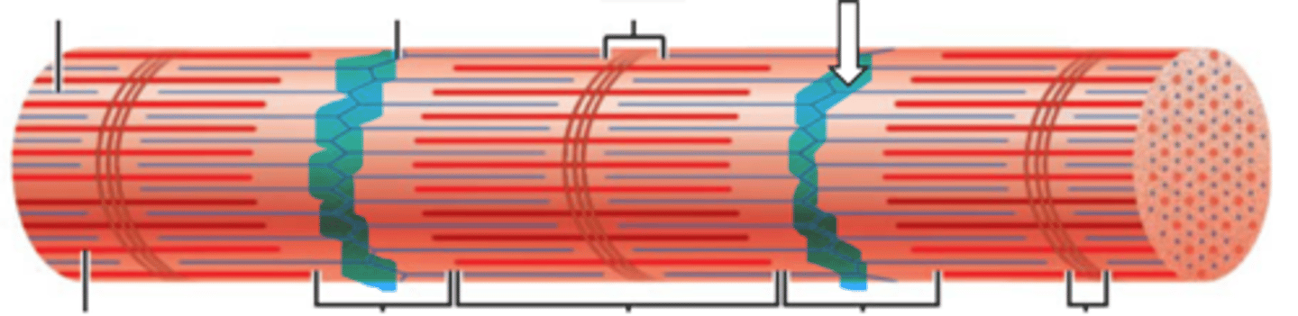 <p>name the structure</p>