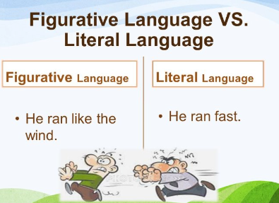 <p>Literal and Figurative language </p>