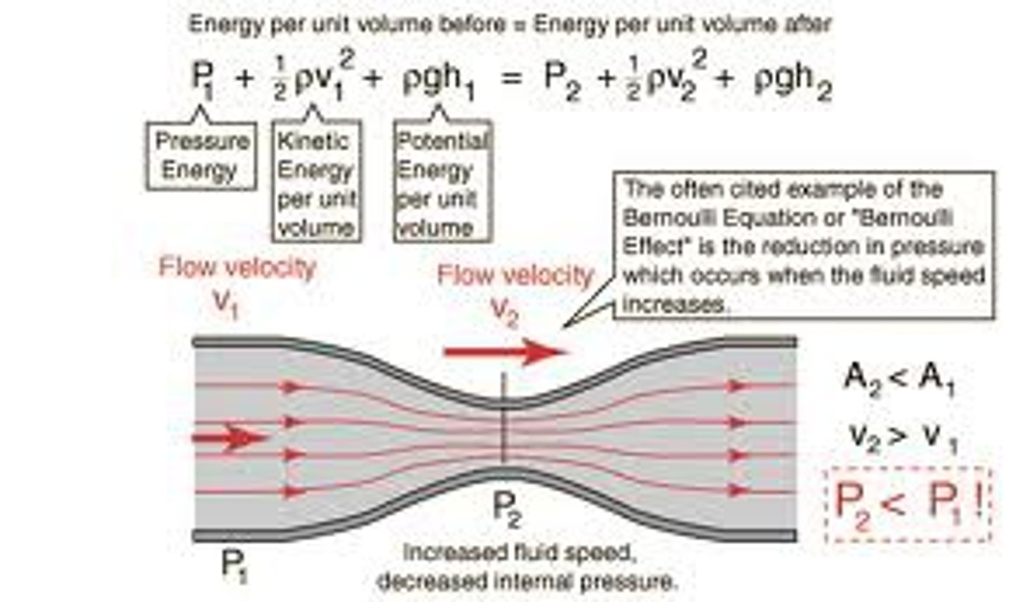 <p>Bernoulli's law: in a steady flow, the sum of all the energy in a fluid along a streamline is the same everywhere on the streamline. plasma skimming: The natural separation of red blood cells from plasma at bifurcations in the vascular tree, dividing the blood into relatively concentrated and relatively dilute streams.</p>