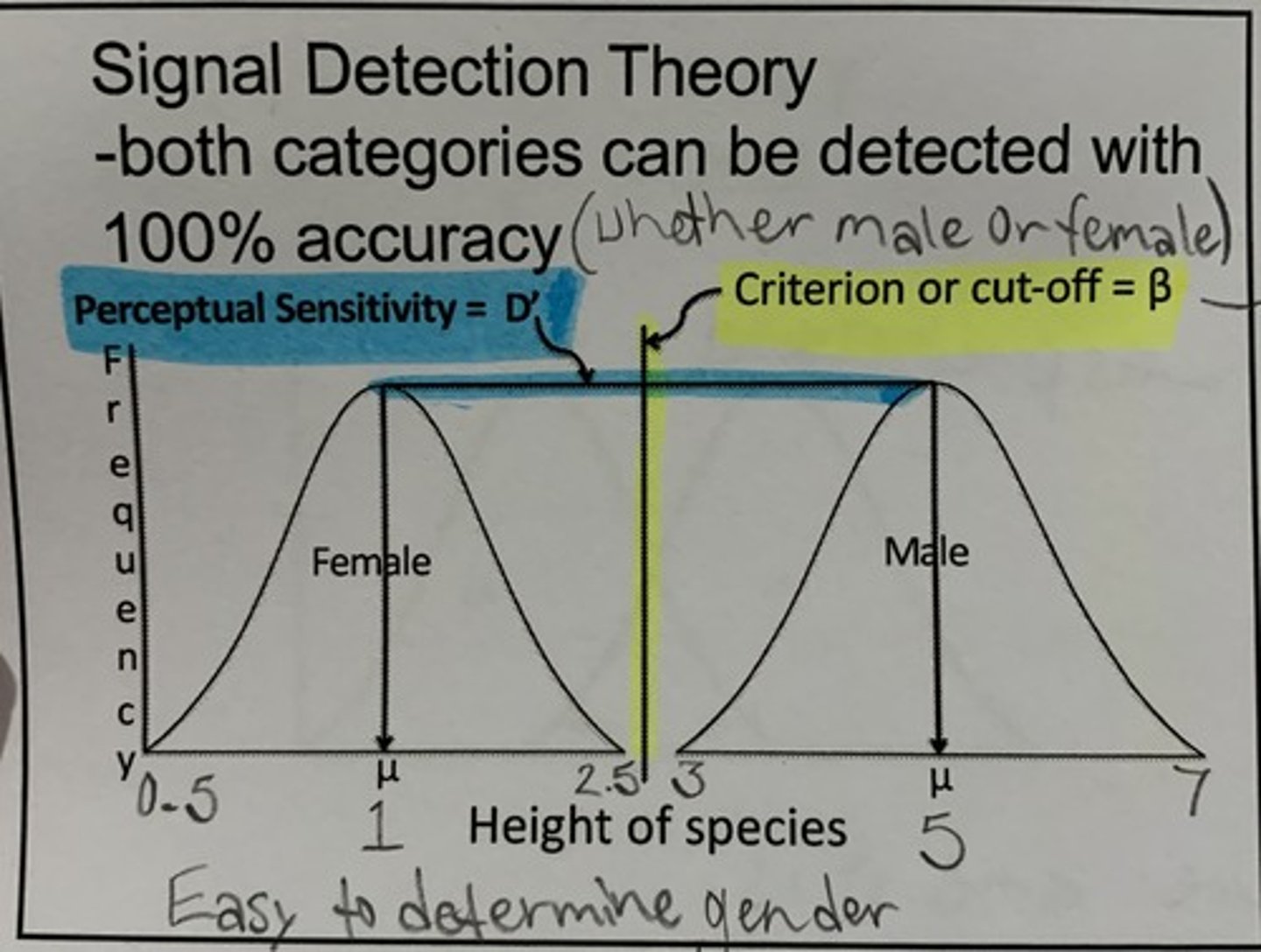 <p>x axis - OUR internal sense of what we think the dot on the radar is</p><p>*yellow line...</p><p>ß = Criterion/cut off - this is our descision to choose one over the other --> past the line will decide its a airplane and before it will descide as bird</p><p>d' = dscriminibility/perceptual sensitivity</p><p>--> The distance between those two curves, The larger the d', the easier it is to distinguish</p>
