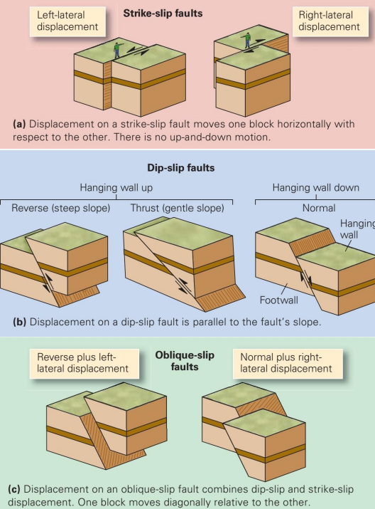 <ol><li><p>Strike slip</p><ul><li><p>Fault slip is parallel to the strike of the fault</p></li><li><p>Side-to-side motion across the fault</p></li></ul></li><li><p>Dip slip</p><ul><li><p>Fault slip is 90 degrees to the strike of the fault</p></li><li><p>Up-and-down motion across fault</p></li><li><p>opposite to strike slip</p></li></ul></li><li><p>Oblique slip</p><ul><li><p>a mixture of the two</p></li><li><p>Diagonal motion across fault</p></li></ul></li></ol><p></p>