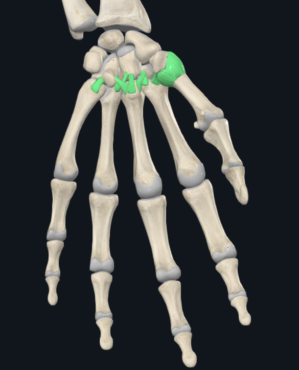 <p>What joints are these</p>