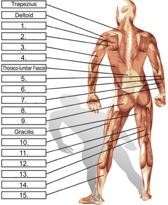 <p>What is number 4?</p>