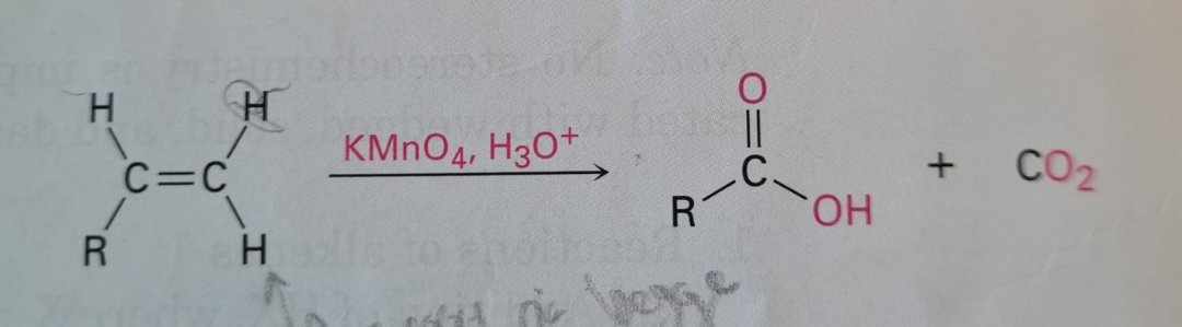 <p>Carboxylsyre dannes</p>