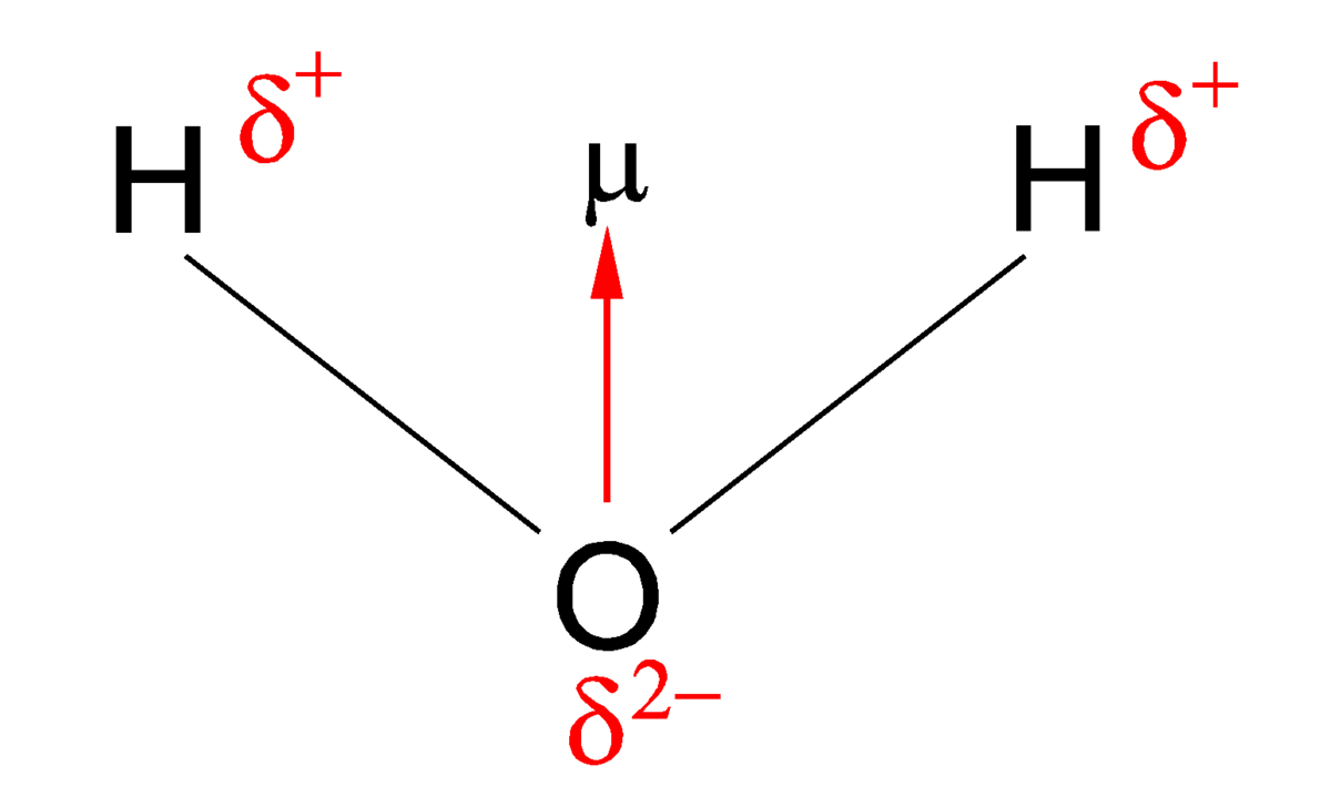 <p>A bond or molecule whose ends have opposite sides</p>