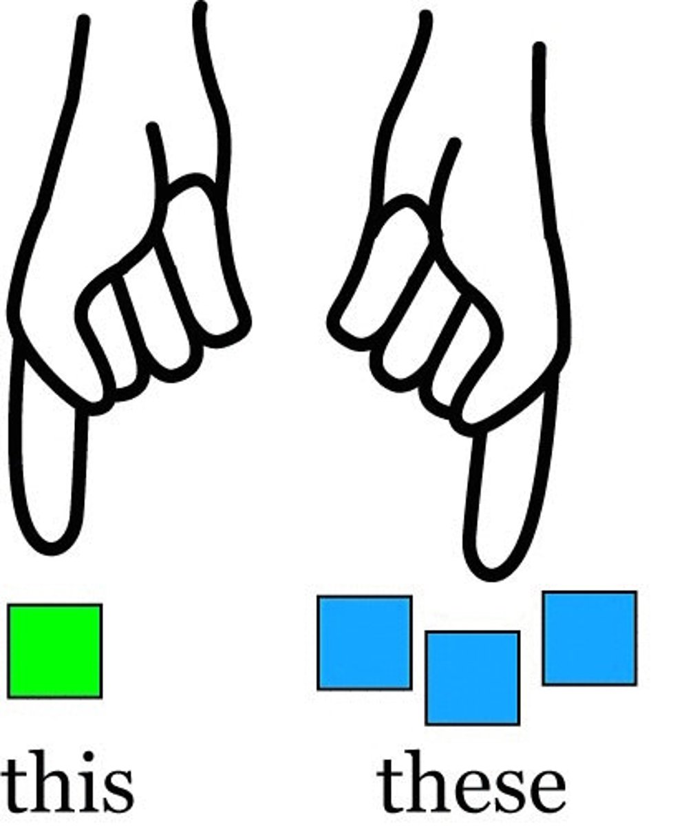 <p>（zhèxiē）these</p>