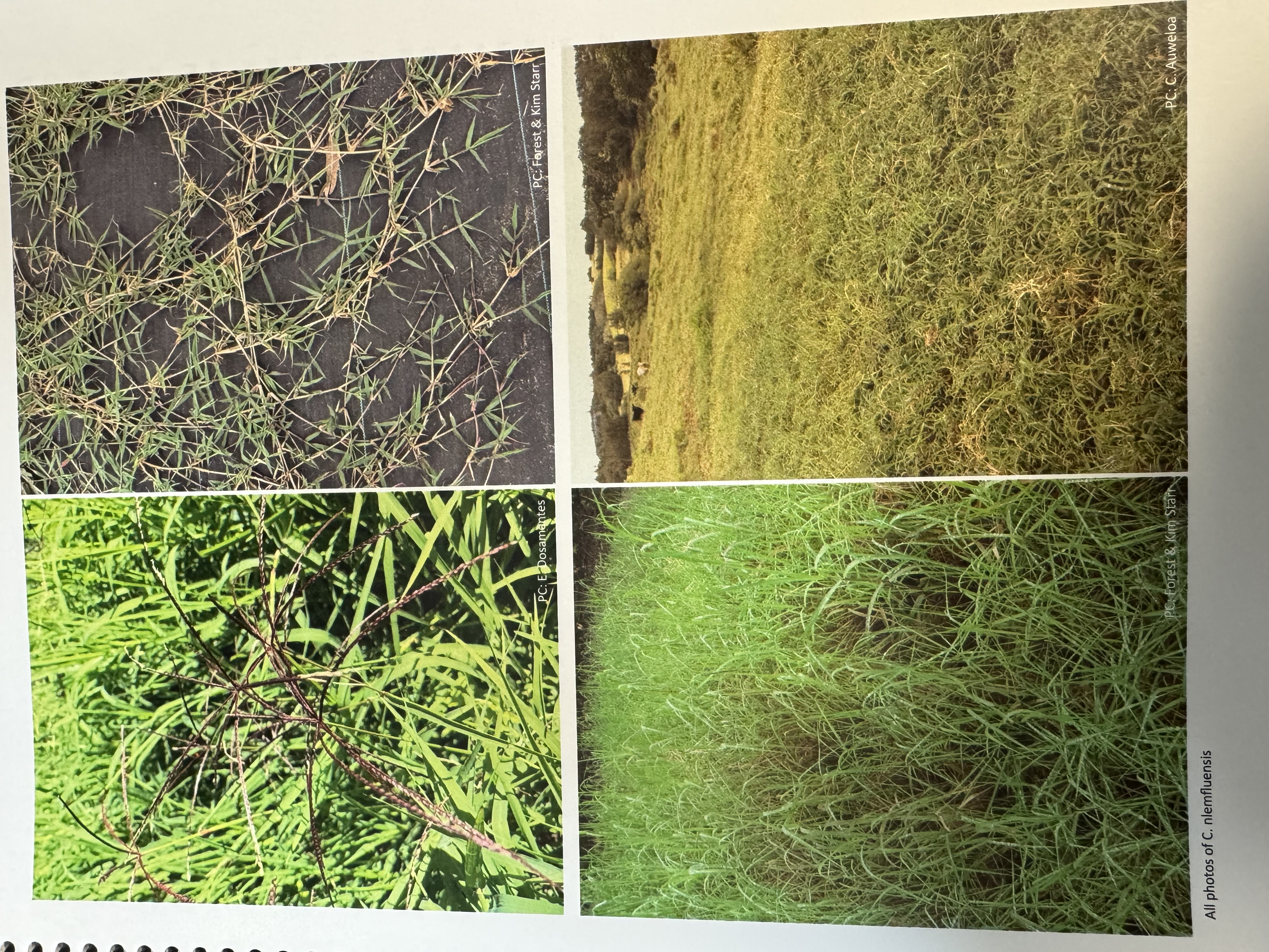 <img src="blob:null/3bb68a16-056a-464e-8a07-a56e1df60c4b"><p></p>