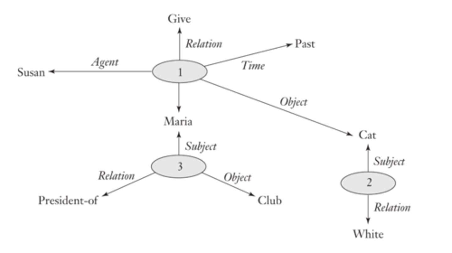 <p>A pattern of interconnected propositions (ex. "Susan gave a white cat to Maria, who is the president of the club.")</p>