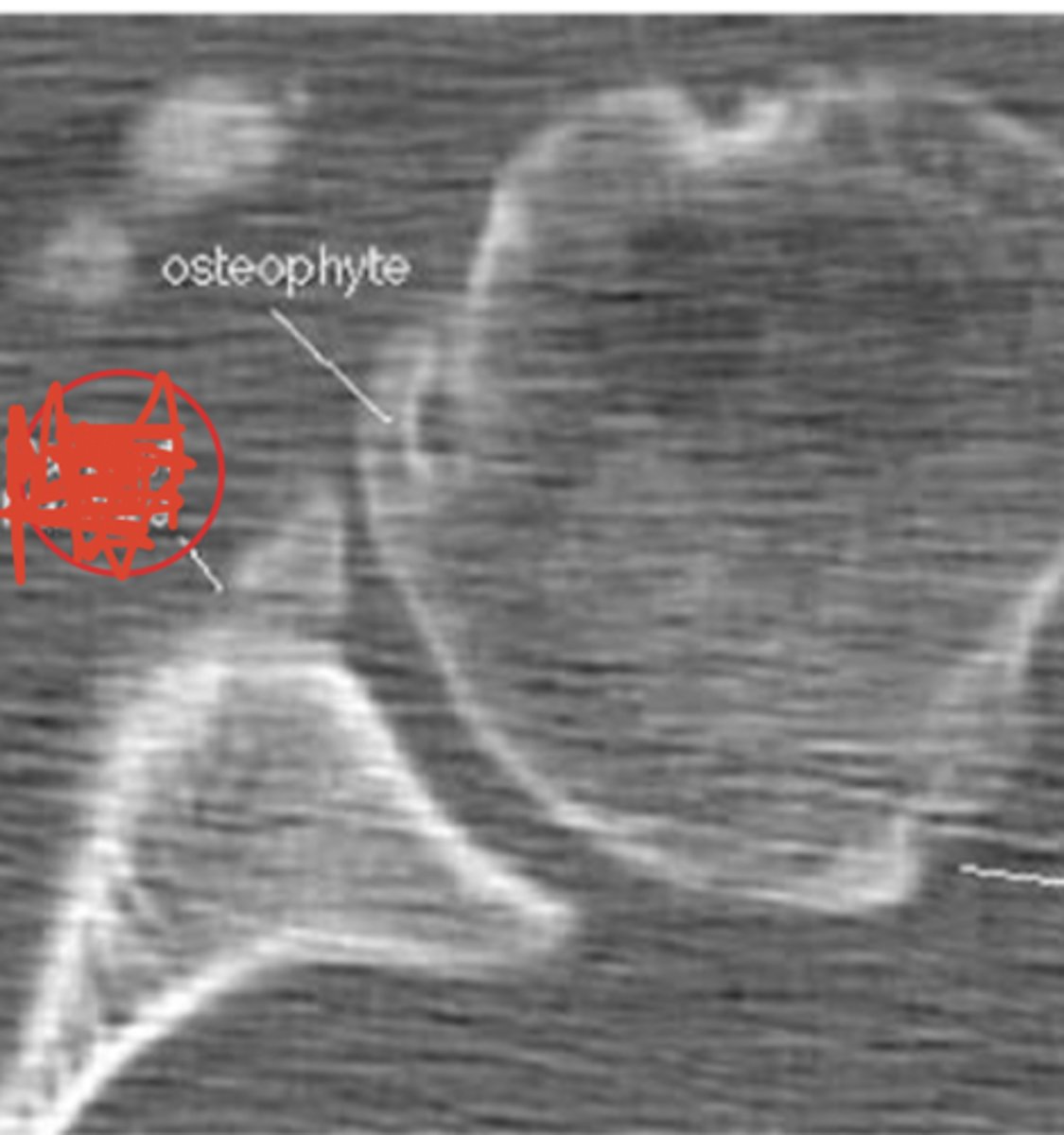 <p>What is the issue?</p>