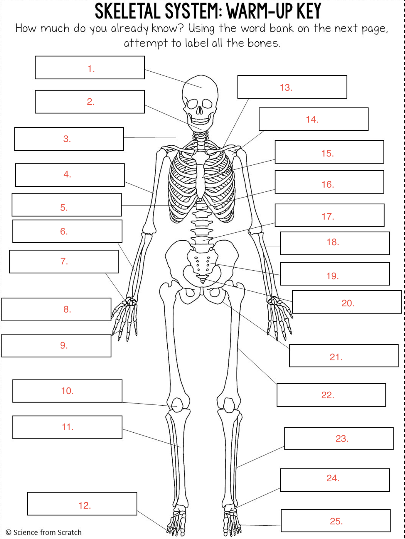 <p>#11</p>