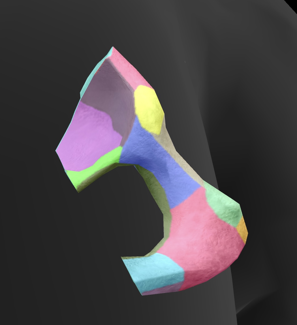 <p>the projections of the pubis that extend downward and contribute to the formation of the obturator foramen. </p>