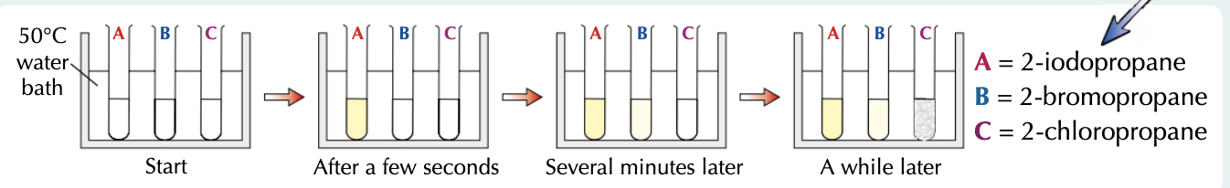 <ol><li><p>When you mix a haloalkane with water, it reacts to form an alcohol.</p></li><li><p>If you put silver nitrate solution in the mixture too, the silver ions react with the halide ions as soon as they form, giving a silver halide precipitate.</p></li><li><p>To compare the reactivities, set up three test tubes each containing a different haloalkane, ethanol (as a solvent) and silver nitrate solution (this contains the water).</p></li><li><p>A pale yellow precipitate quickly forms with 2-iodopropane, so iodoalkanes must be the most reactive haloalkanes. Bromoalkanes react slower than iodoalkanes to form a cream precipitate, and chloroalkanes form a white precipitate the slowest of all.</p></li></ol><p></p>