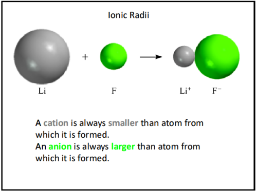 <p>The radius of an atom. Cations are smaller, anions are larger than their atom</p>