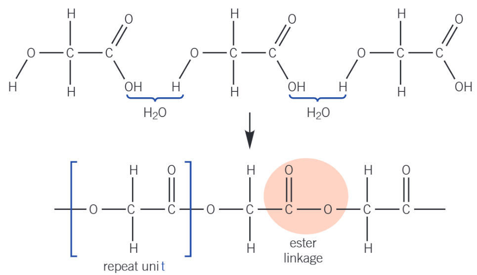 <ol><li><p>Identify the functional groups on the monomers or monomer (E.g. diol + dicarboxylic acid or amino acid).</p></li><li><p>Remove <strong>-OH</strong> from the carboxylic acid group and <strong>-H</strong> from the alcohol or amine group.</p></li><li><p>Join the monomers together at those points to form an ester or amide linkage.</p></li><li><p>Draw 1 complete repeat unit with continuation (dotted, for skeletal) bonds at ends.</p></li><li><p>Repeat this structure again to create 2 repeat units.</p></li></ol><p></p>
