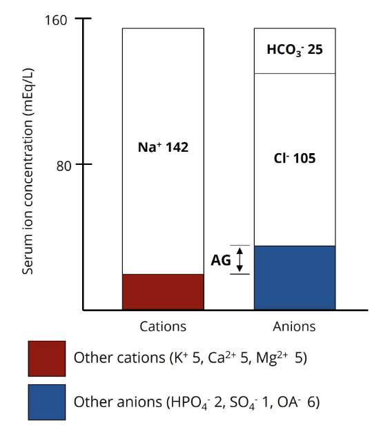 <p><mark data-color="purple">AG = [Na+] - ([CI-] + [HCO3-])</mark></p><p>[Na+] (e.g., 142 mmol/L) > combined [Cl-] and [HCO3-] (e.g., 130 mmol/L) <strong>by 12 mmol/L or greater</strong></p><p>→ could be a sign of disorder in the lungs, kidneys, or other organ systems</p>