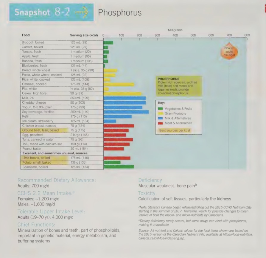 <ul><li><p>milk products are a source of phosphorus is stored in the bones and teeth, packaged with calcium into hydroxyapatite crystals </p></li></ul><p></p>