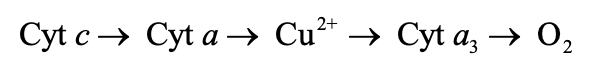 <p>Intermediate electron acceptors that lie between cytochromes a and a<sub>3</sub> in the following sequence:</p>
