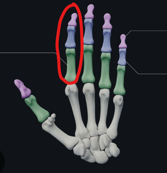 <p>Enable finger movement</p>