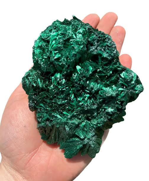 <ul><li><p>Mineral habit - acicular</p></li><li><p>Luster - glassy/vitreous</p></li><li><p>Color - dark green</p></li></ul>