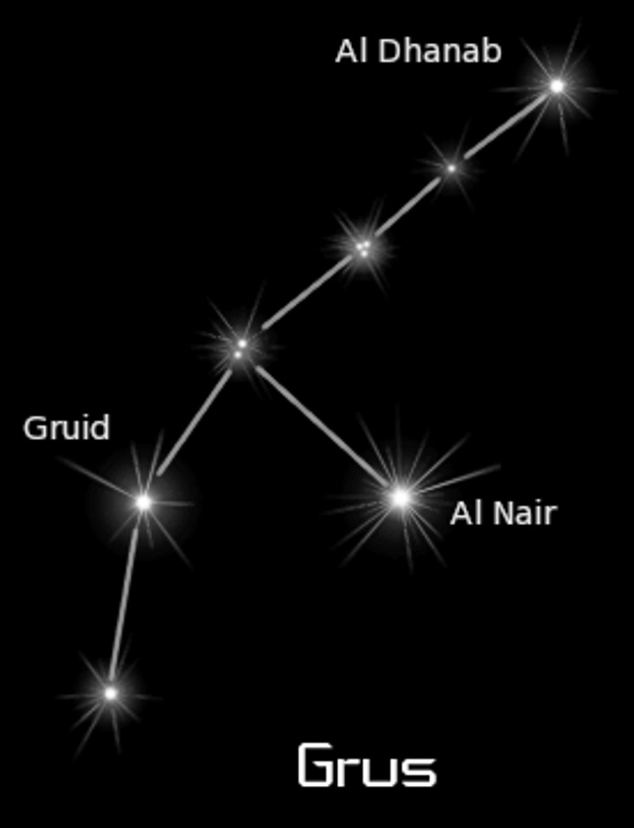 <p>crane / brightest star: Alpha Gruis (α Gru)</p>