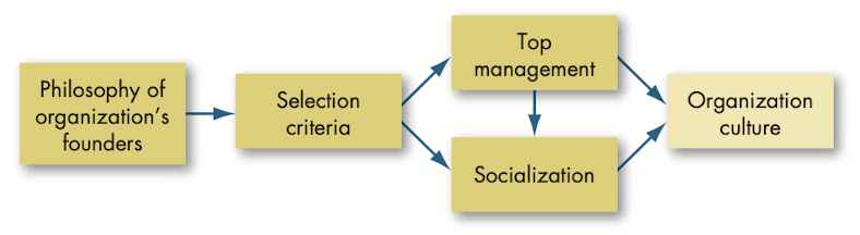 How organization cultures form