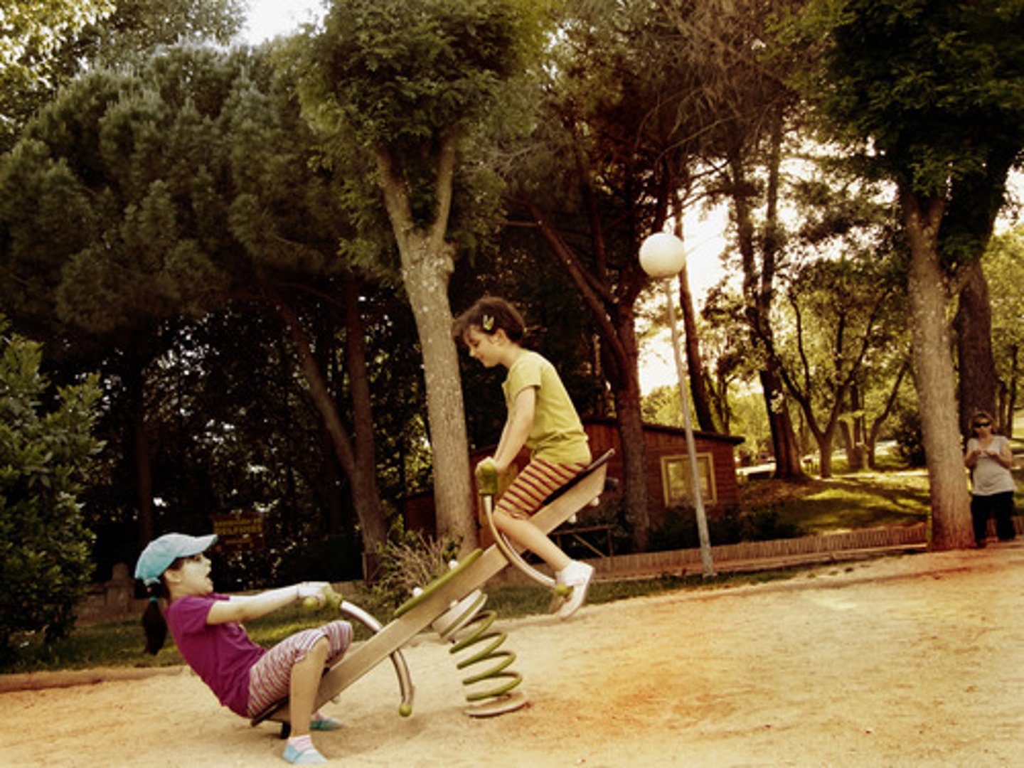 <p>teeter totter</p>