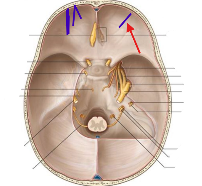 <p>What is this structure?</p>