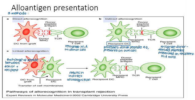 <ol><li><p>Direct presentation</p></li><li><p>Indirect presentation</p></li><li><p>Semi-direct presentation</p></li></ol><p></p>