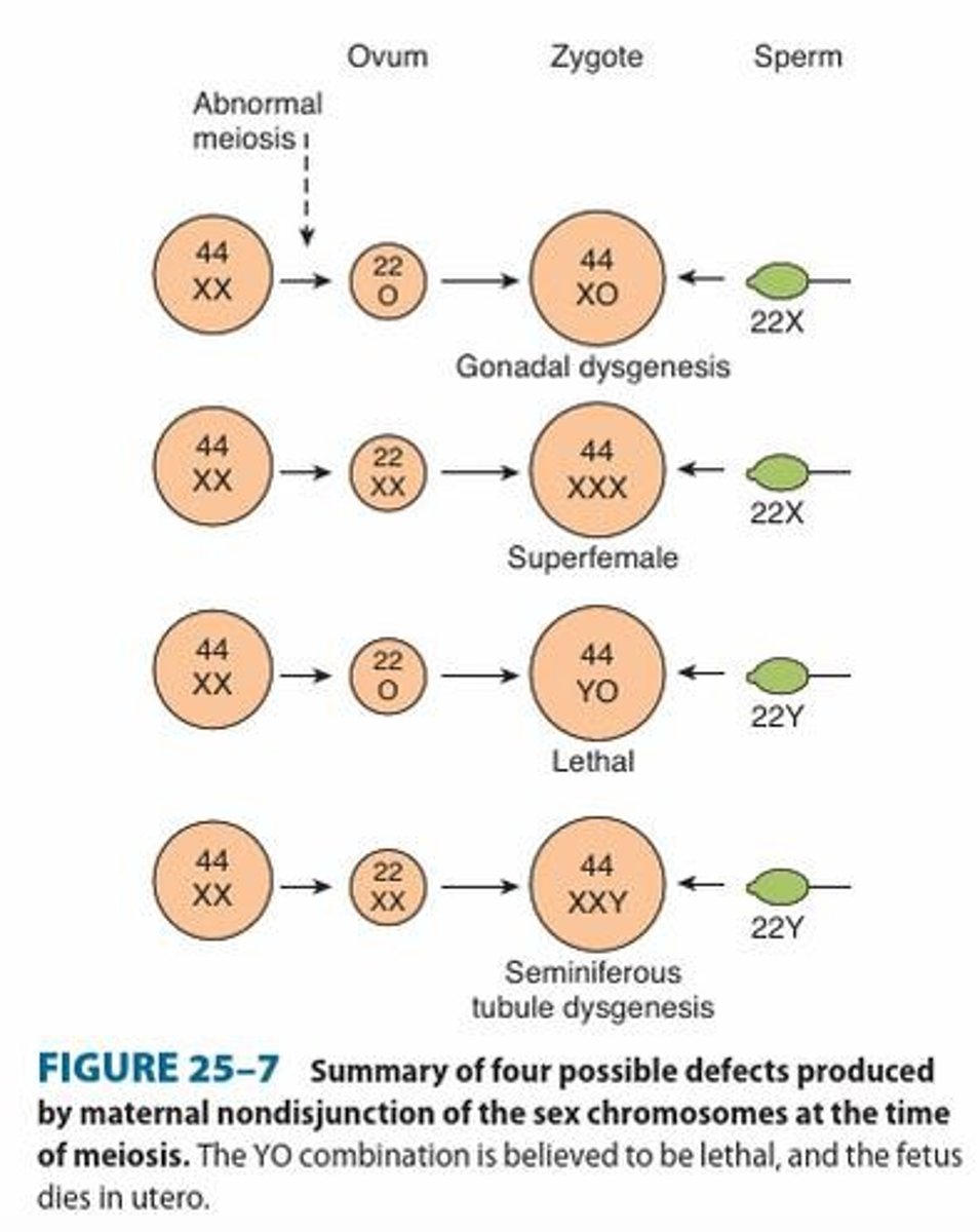 <p>Affects typical male development and puberty; results in secondary sex characteristics more typical of women.</p>