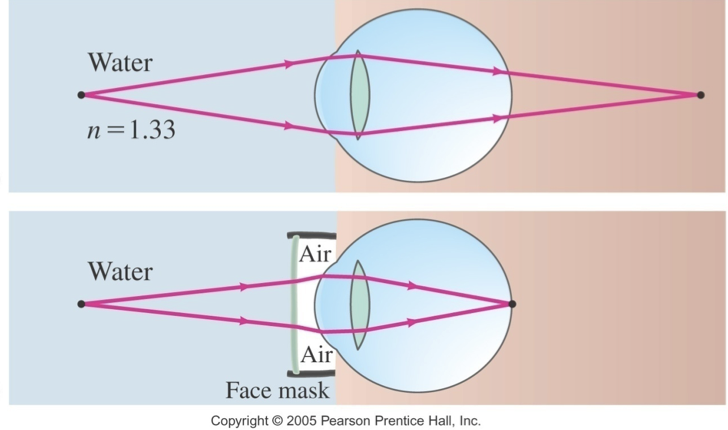<p>because light rays are bent much less than they would, if entering the eye from air, hence are not focused on the retina, this can be avoided by wearing goggles </p><p></p><p>f(in water) &gt; f(in air) </p>