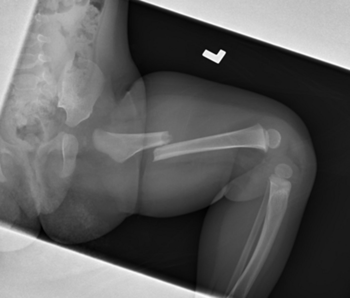 <p>What do you want to do?</p>