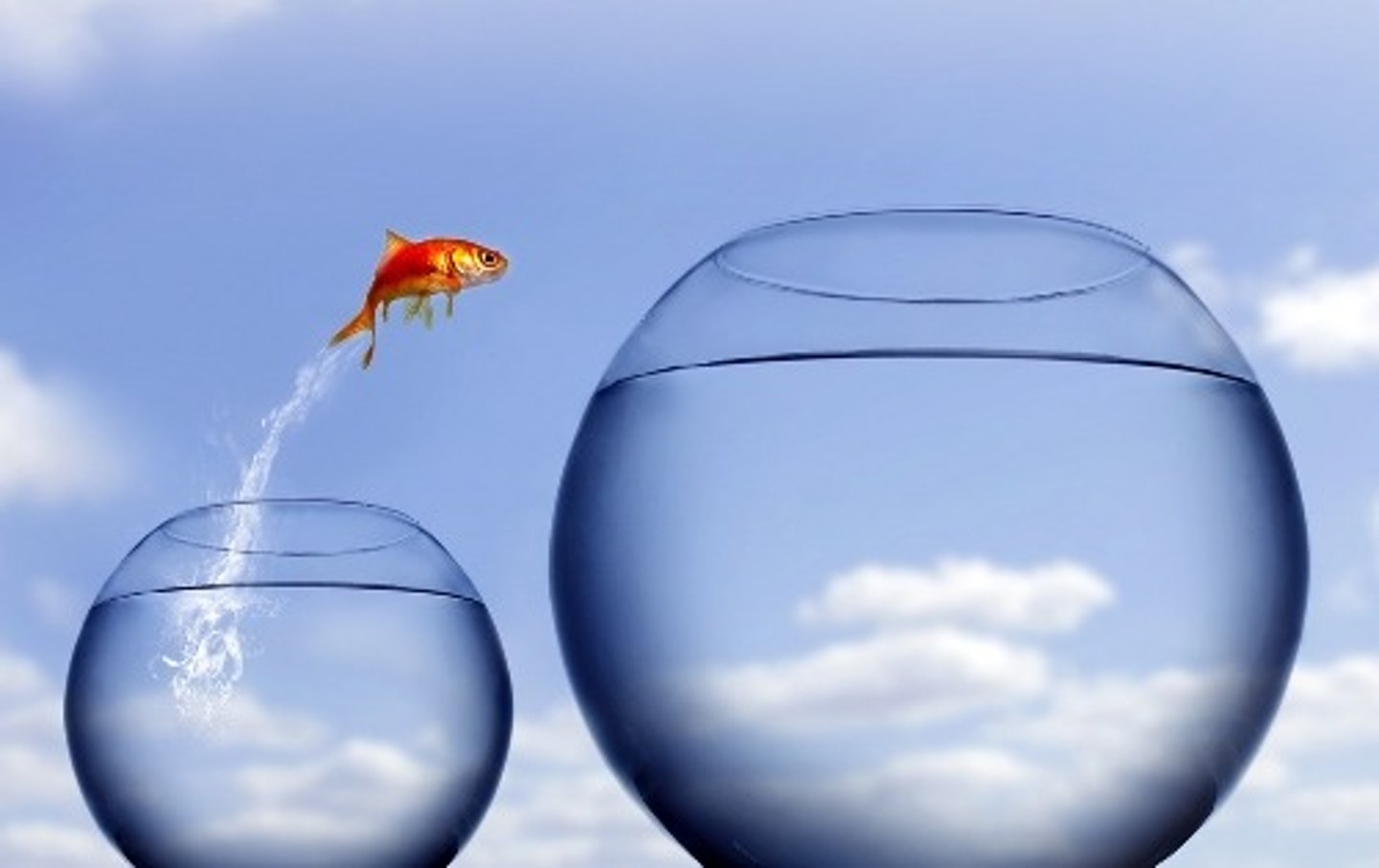 <p>ambitious</p>